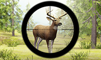 Contract Deer Hunter Logo